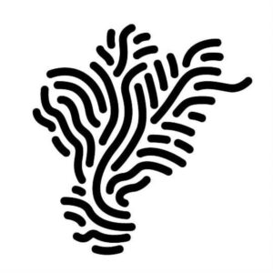 casa rio lab - logo